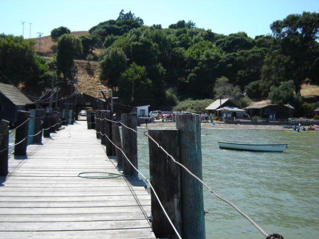 DSC00046.jpg