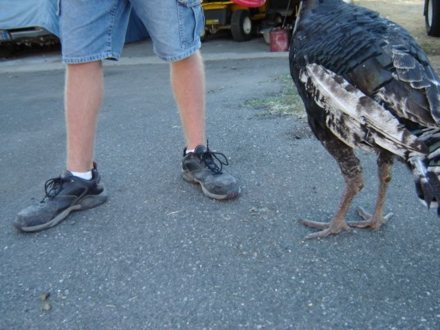 DSC00082.jpg