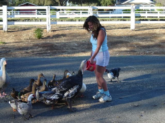 DSC00085.jpg
