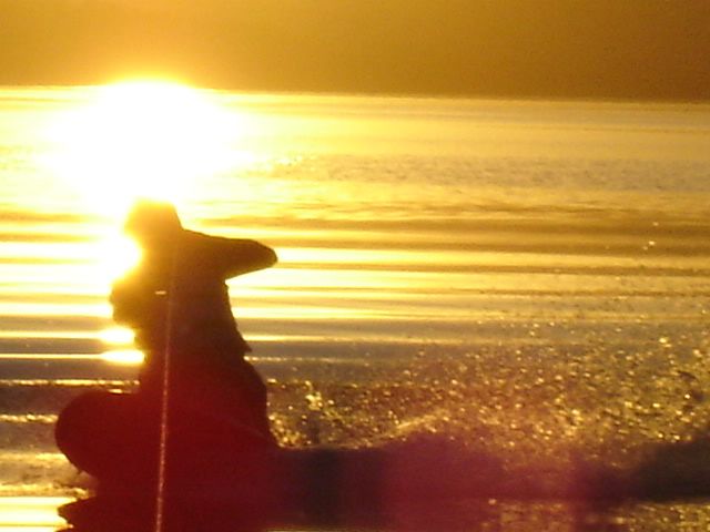 DSC00104.jpg
