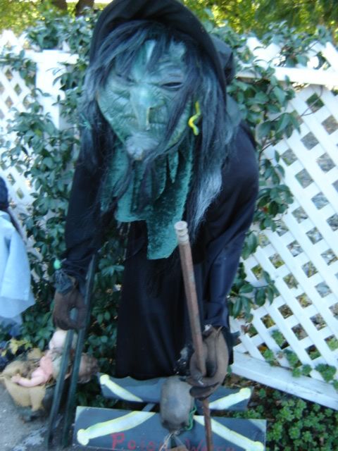 DSC00109.jpg