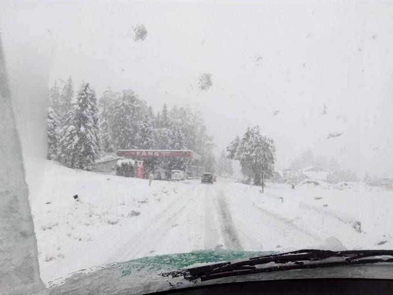 13084127_701537486656055_1017828963_n_zp