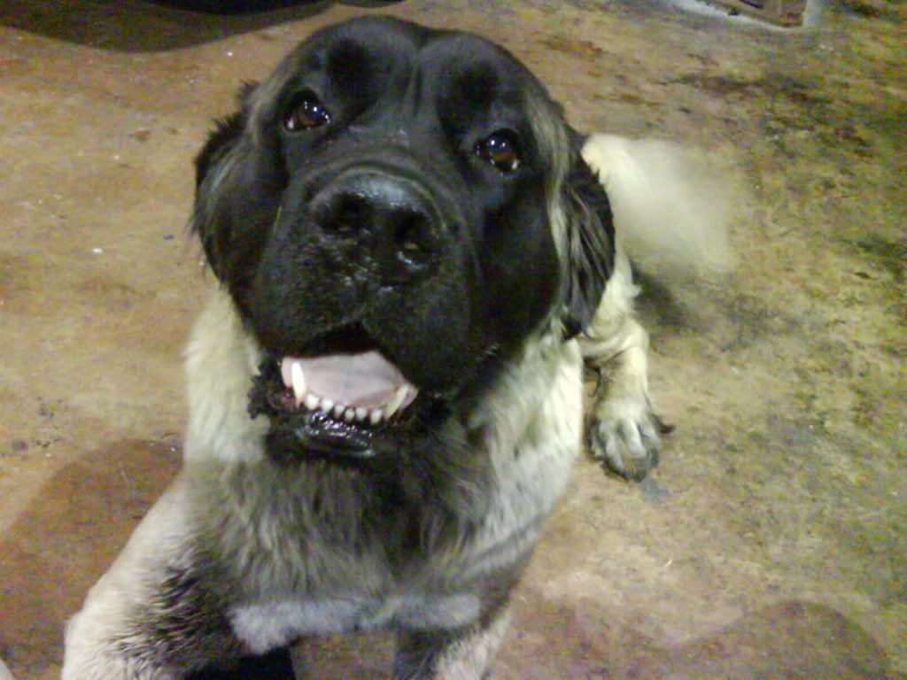 Photobucket - Video and Image Hosting