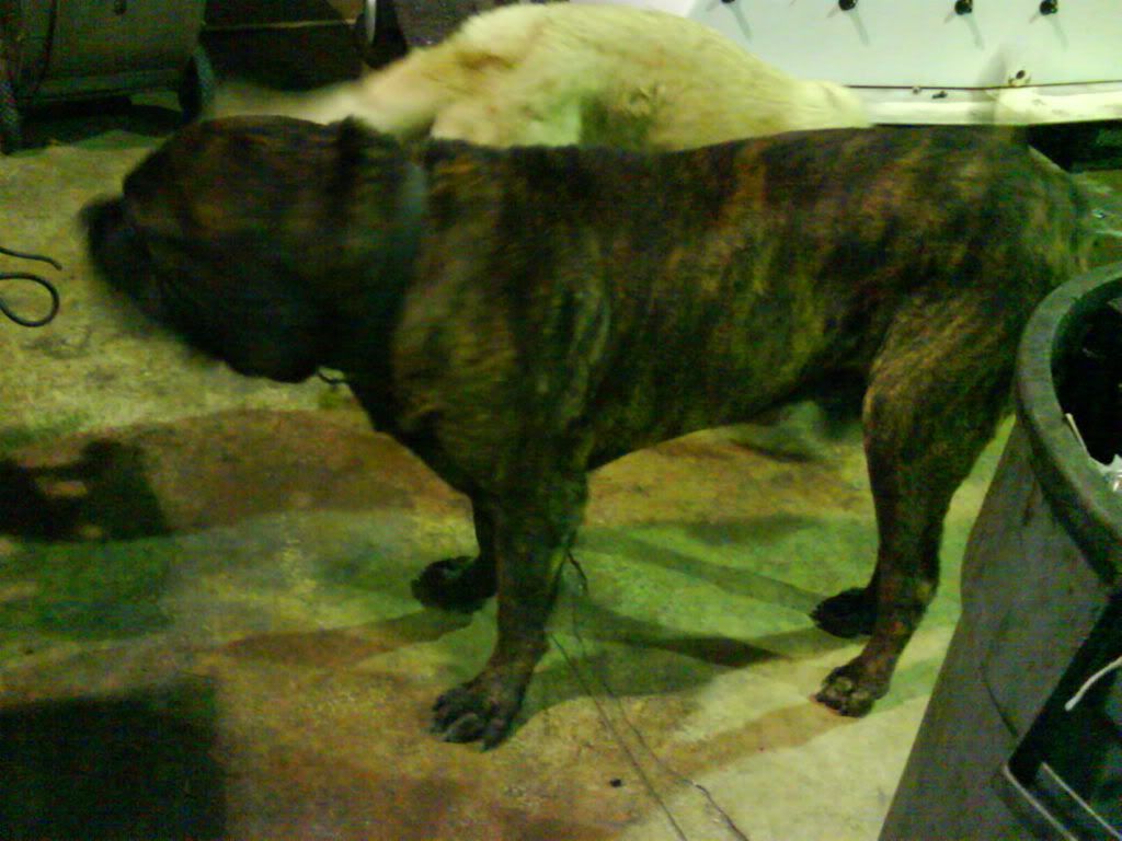 Photobucket - Video and Image Hosting