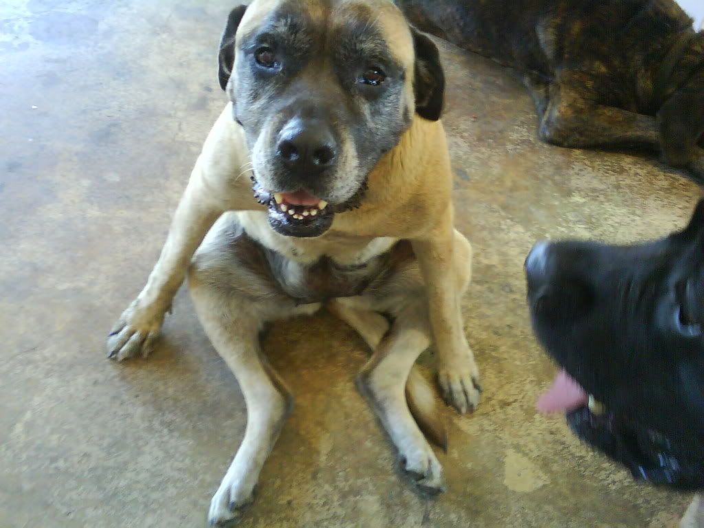 Photobucket - Video and Image Hosting