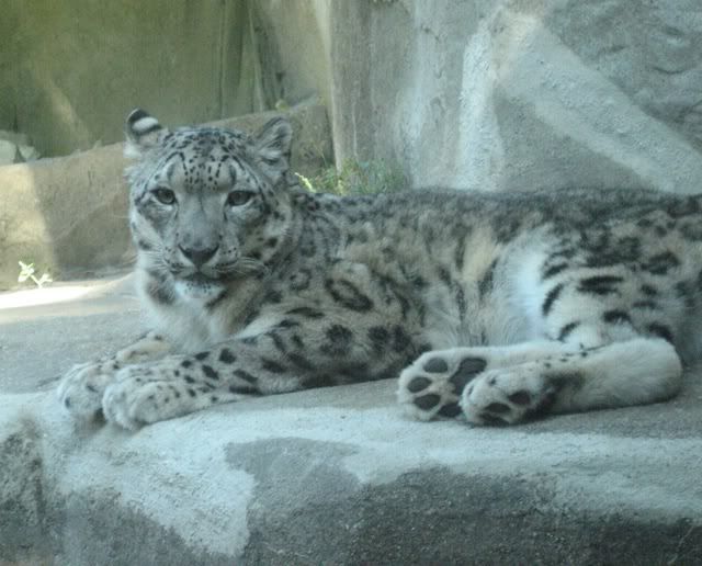 Photo Sharing and Video Hosting at Photobucket