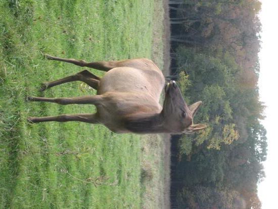 Photo Sharing and Video Hosting at Photobucket