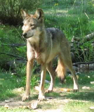 Image hosted by Photobucket.com