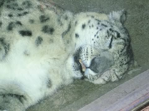 Image hosted by Photobucket.com