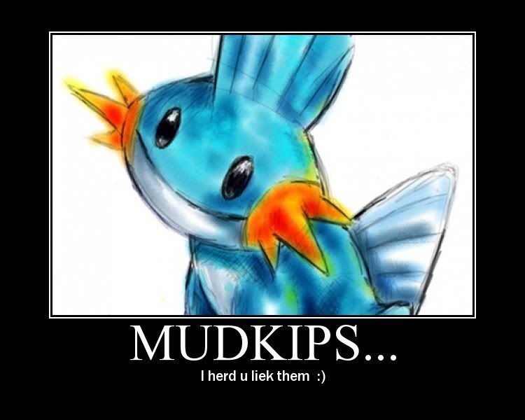 mudkipz.jpg