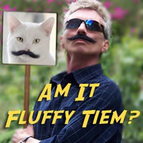 Am It Fluffy Tiem?