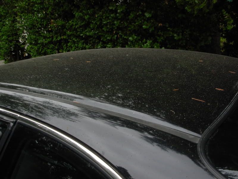 DSCN0176.jpg