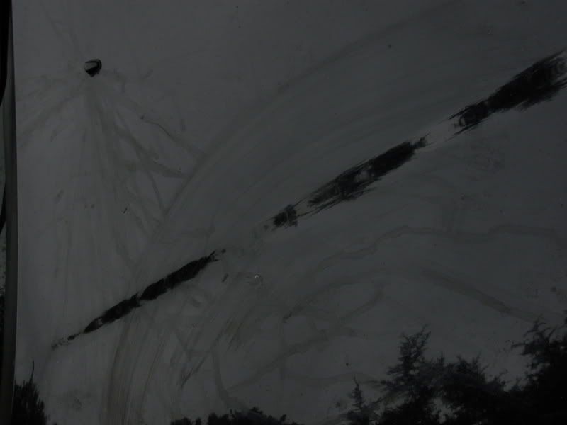 DSCN0180.jpg