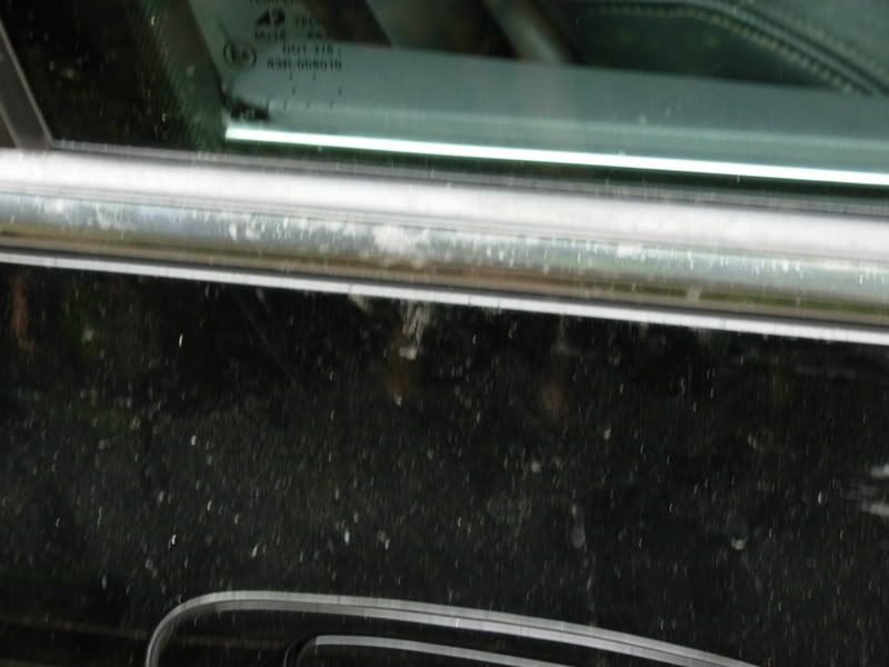 DSCN0181.jpg