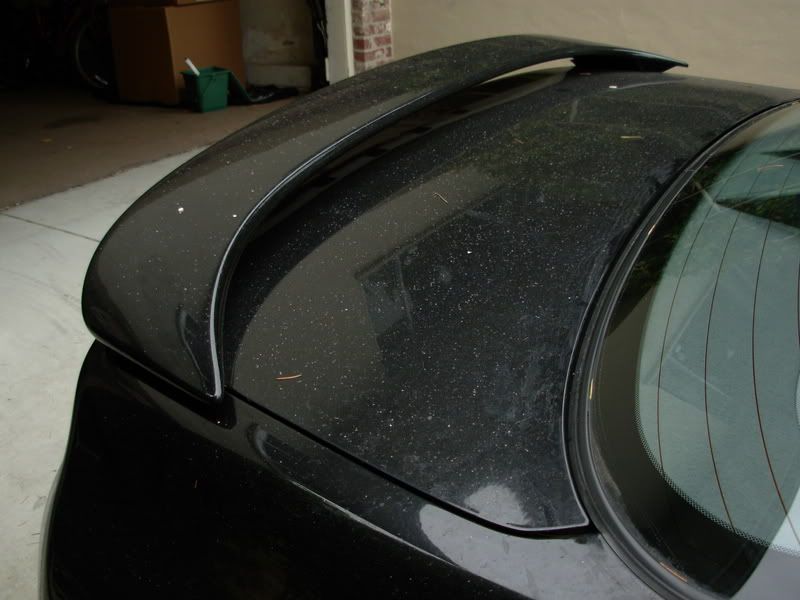 DSCN0183.jpg