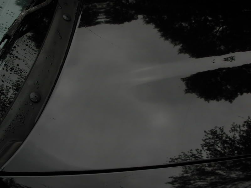 DSCN0187.jpg