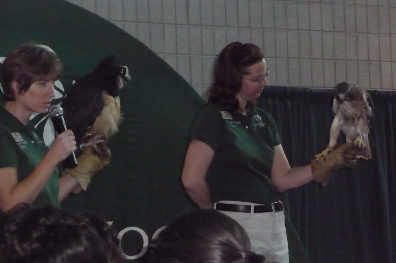 2011,classroom,zoo