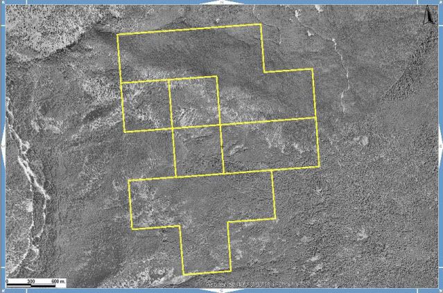 MISSING LINK & OTHERS