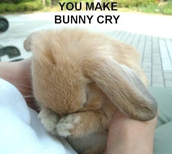 [Image: bunnycrying.jpg]