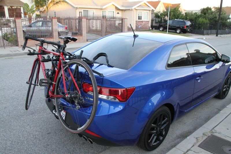 Bike Trunk Rack