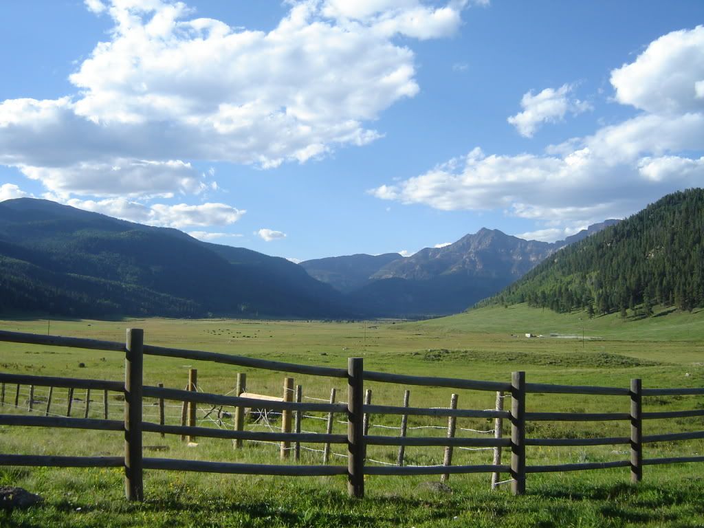 DSC04650.jpg