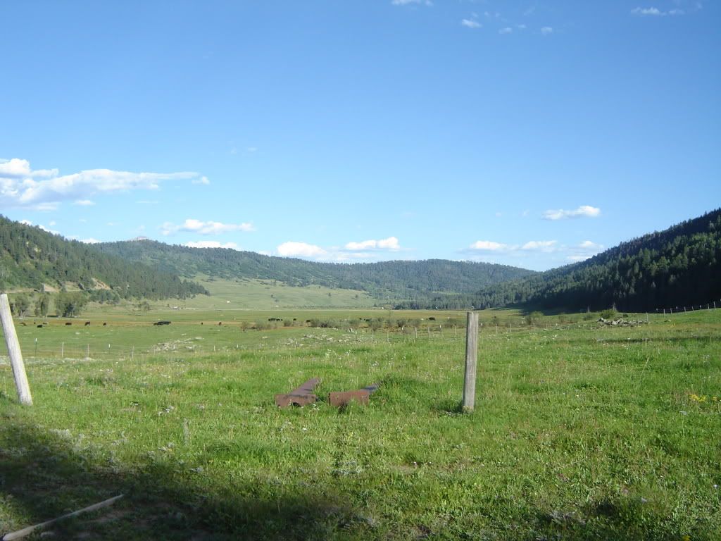 DSC04651.jpg