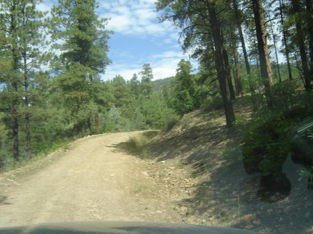 DSC04667.jpg