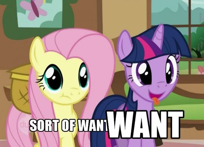 sort-of-want-WANT-700x505.jpg
