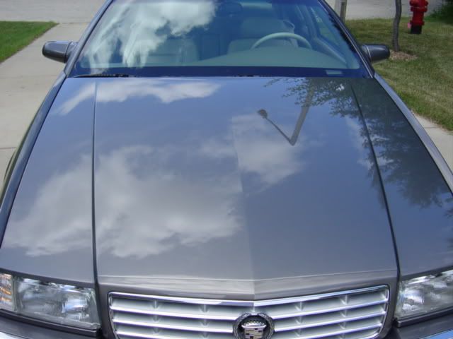 DSC00782.jpg
