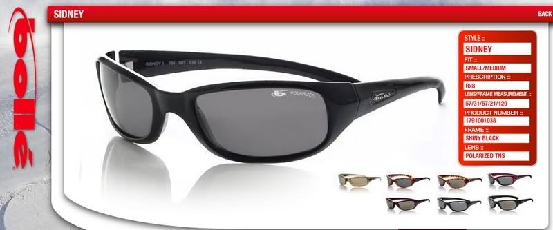 bolle sidney sunglasses