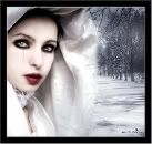 gothic winter wonderland