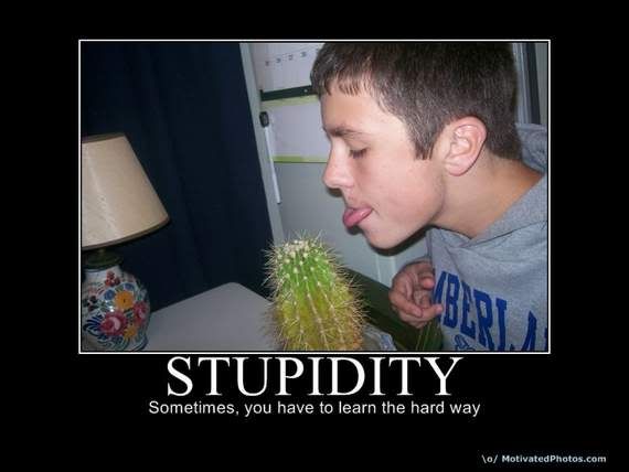 stupidity02.jpg