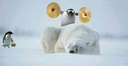 penguinbear.jpg