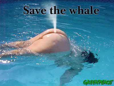 savethewhale.jpg