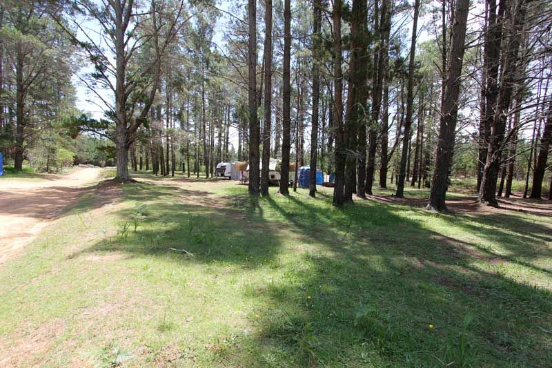 Wingello Camp