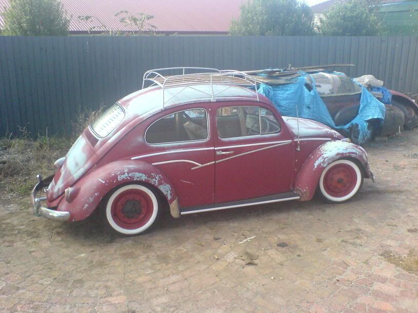 http://i12.photobucket.com/albums/a209/CAFFINEPUSHERMAN/therat020.jpg