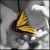 flutterby.jpg image by bubblebathbabe