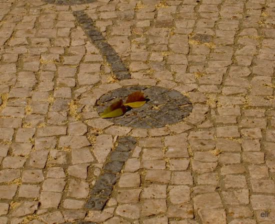 no chão, AA. Setembro de 2005