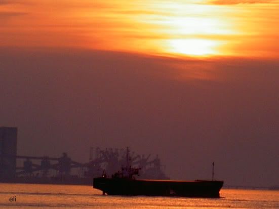 12 de Dezembro de 2004