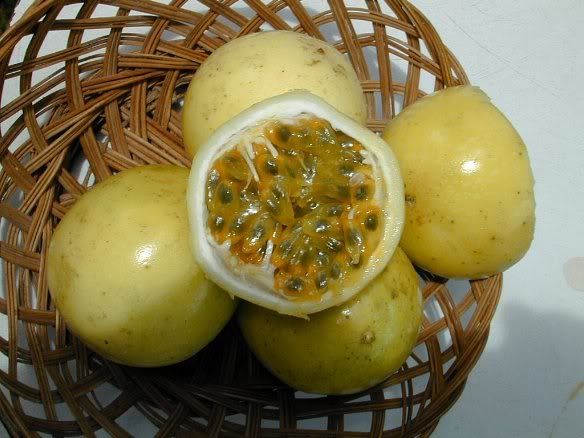 Chinola Fruit