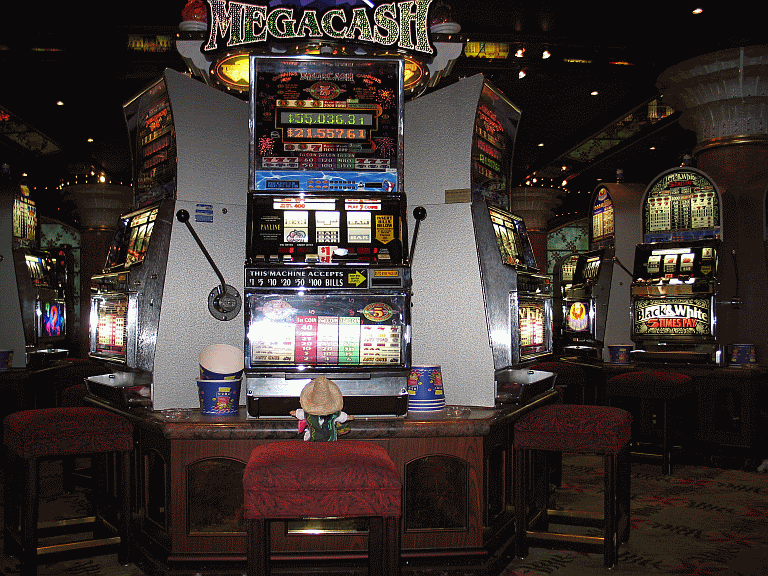 Gambling vacations are now big business since casinos became legal in the US.