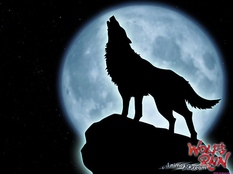 WOLF HOWLING AT MOON DRAWINGS WOLF HOWLING AT MOON DRAWINGS