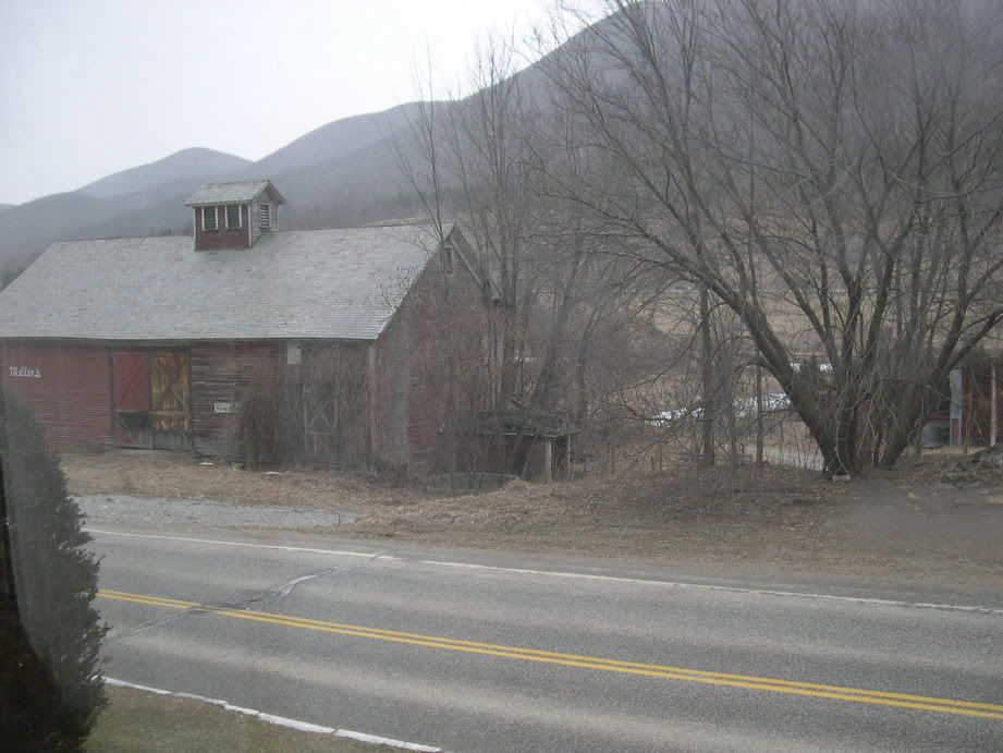 96bbf330.jpg