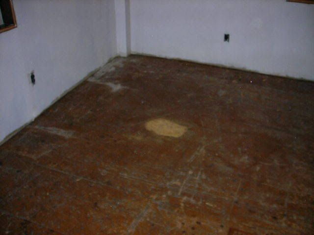 DSCN0300.jpg