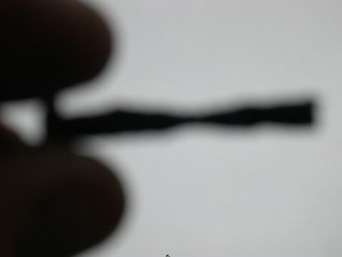 DSCN5152.jpg