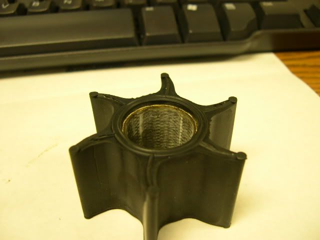 DSCN5824.jpg