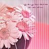 luvyuyu-flowers.jpg