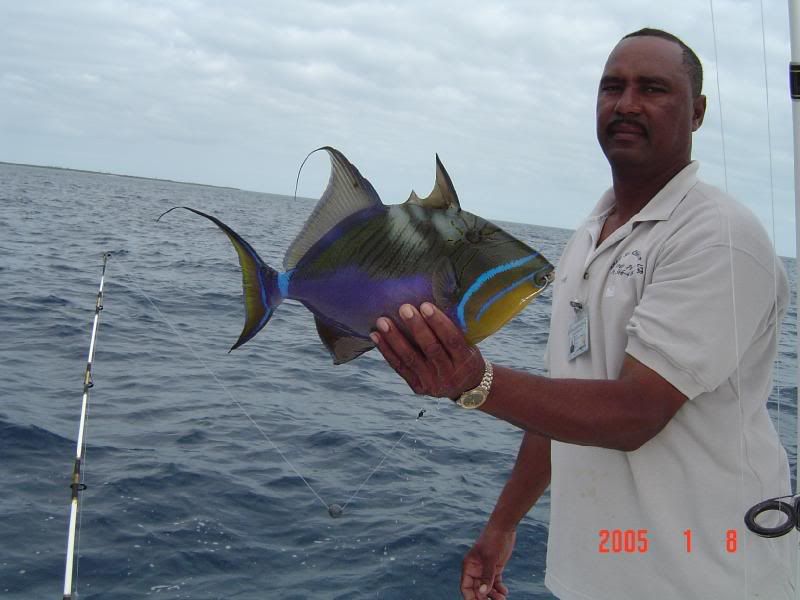 Why we will continue to love cay bottom fishing in 2016