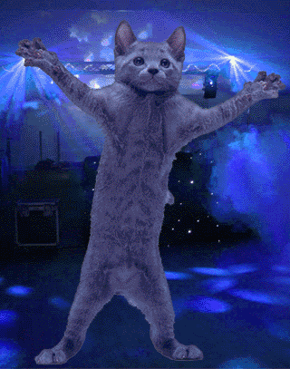  photo FR Dancing Cat .GIF 02 colors_zpshadrctox.gif