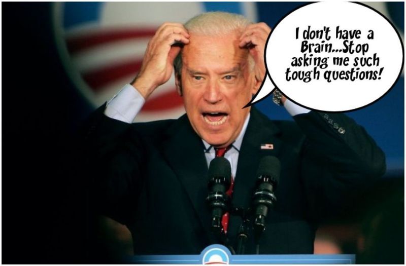  photo Biden - I dont have a brain Stop asking me..._zps8kl0wjyu.jpg